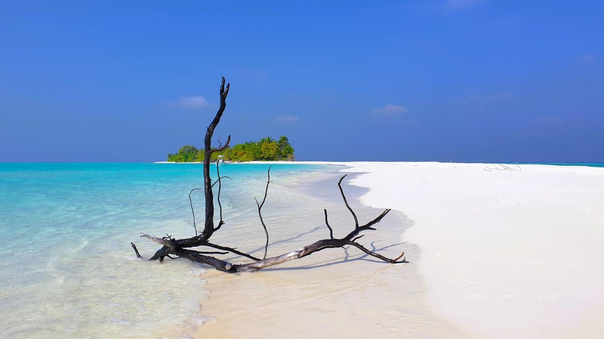 The Fulhadhoo Beach Cottage Ngoại thất bức ảnh